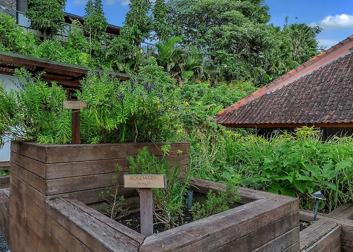 Bisma Eight Resort Ubud (Bali)